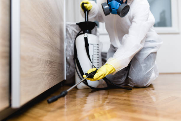 Best Insect Control  in Richton, MS