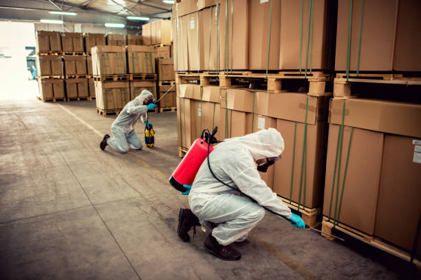 Best Pest Prevention Services  in Richton, MS