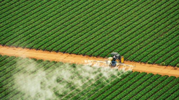 Best Best Pest Control Companies  in Richton, MS