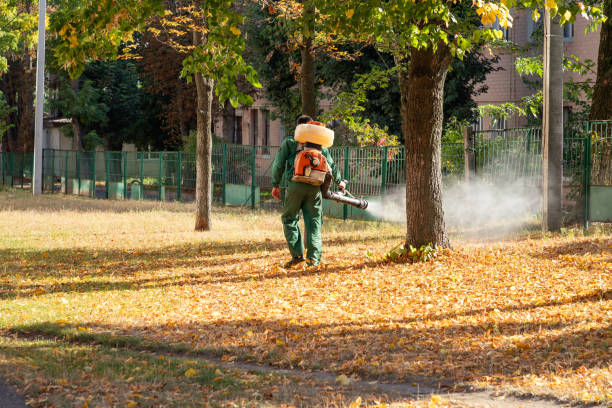 Best Best Pest Control Companies  in Richton, MS