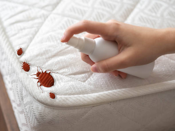 Best Emergency Pest Control  in Richton, MS