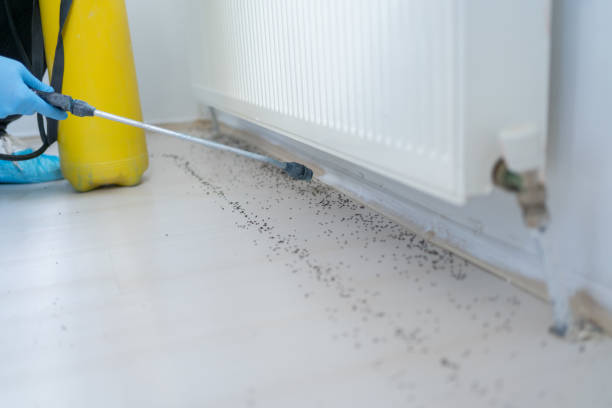 Best Cockroach Control Services  in Richton, MS